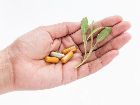 Alternative health care fresh herbal and capsule in doctor 's hand on  white background.