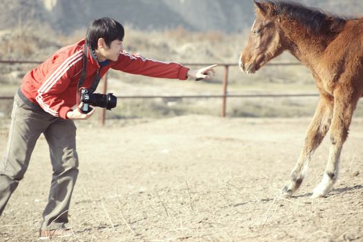 Animal photographer outdoors doing photo shooting of the young horse