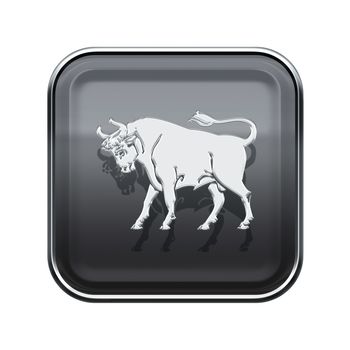 Taurus zodiac icon grey, isolated on white background