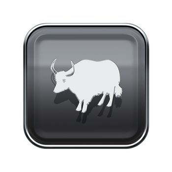  Ox Zodiac icon grey, isolated on white background.