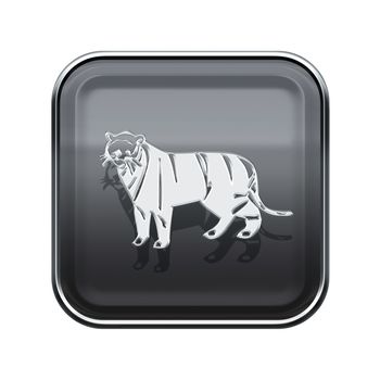 Tiger Zodiac icon grey, isolated on white background.