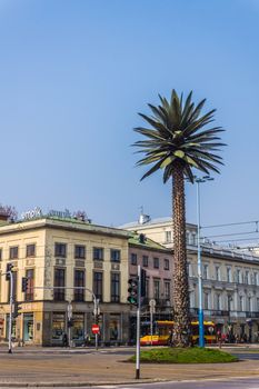 Artificial palm in the middle of Charles de Gaulle roundabout in the downtown. Subject of many controversies, gradually became a  recognizable landmark of the city.