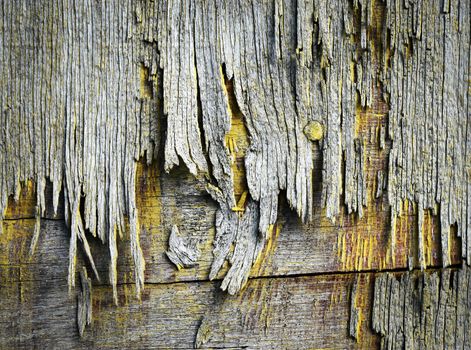 abstract background or texture eroded old board