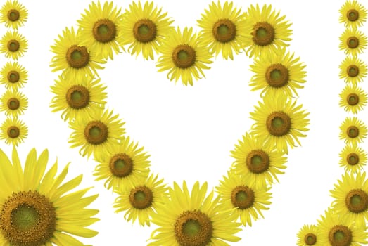 Frame sunflower hearts