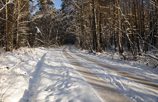   the small road photographed in a winter season