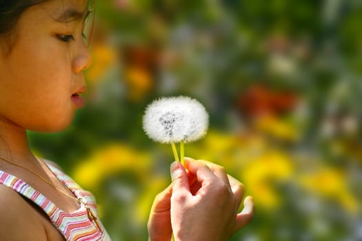 Little chinese girl blowing a dandelion