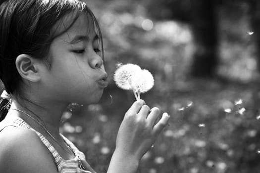 Little chinese girl blowing a dandelion