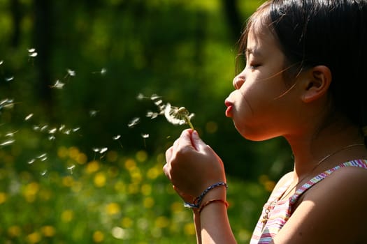 Little chinese girl blowing a dandelion