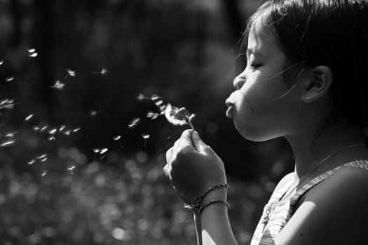 Little chinese girl blowing a dandelion