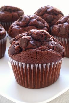 freshly baked chocolate chip muffins