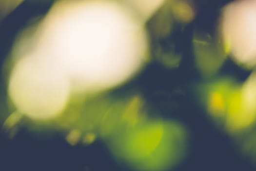 abstract natural blur background, defocused leaves, bokeh, nature background