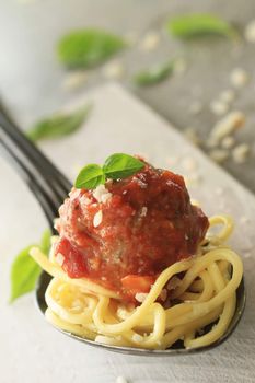 Italian meatballs in tomato sauce