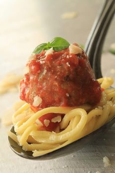 Italian meatballs in tomato sauce