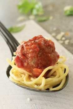 Italian meatballs in tomato sauce