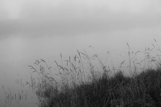 Multiple Straw and river in fog