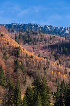 Famous romanian mountain in Carpathians - Piatra Craiului, in autumn