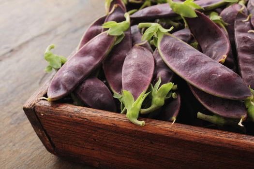 fresh purple mangetout