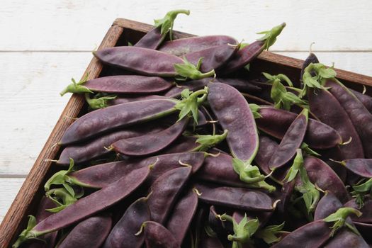 fresh purple mangetout
