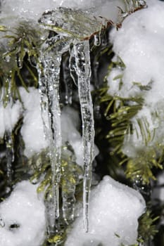 Icicles on a Christmas tree