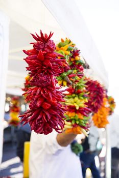 Colorful peppers strung and hanging in market.