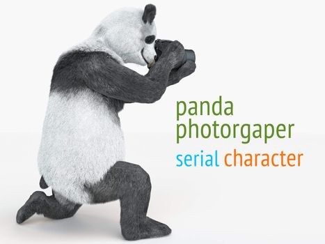 Panda with camera in his paws down on her knees and takes picture of an isolated empty space around him. Adult animal photographer sitting and photographs
