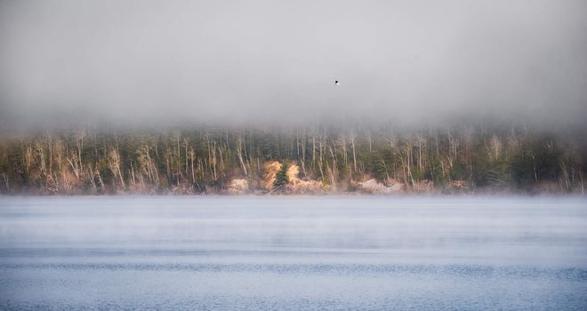 Fog rising from blue - Receding fog line on the Ottawa River - horizontal divide of two environments - air and water creates a visual spectacle.