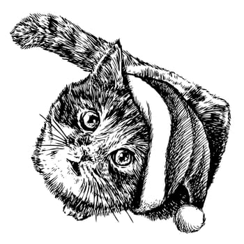 freehand sketch illustration of little cat, kitten with christmas santa hat, doodle hand drawn