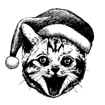 freehand sketch illustration of little cat, kitten with christmas santa hat, doodle hand drawn