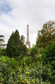Eiffel Tower and blossoming trees in Paris, France.