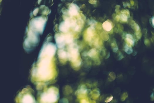 abstract natural blur background, defocused leaves, bokeh, nature background