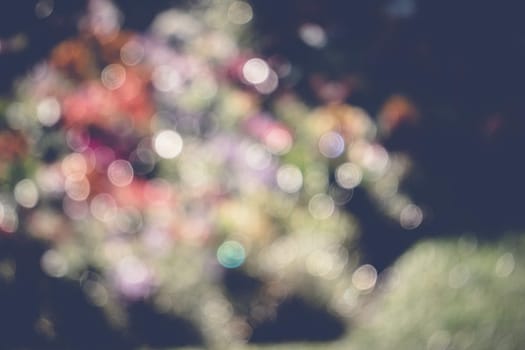 abstract natural blur background, defocused leaves, bokeh, nature background