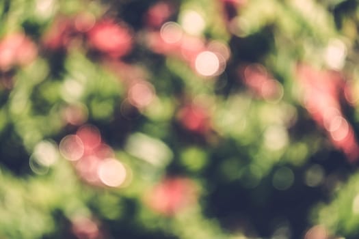 abstract natural blur background, defocused leaves, bokeh, nature background