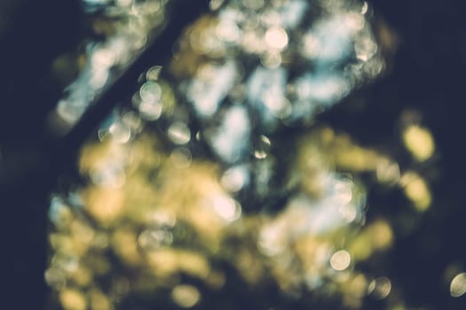 abstract natural blur background, defocused leaves, bokeh, nature background