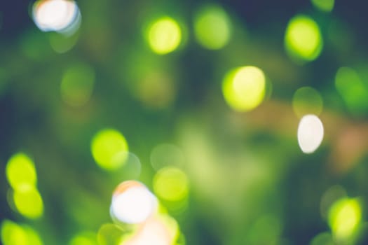 abstract natural blur background, defocused leaves, bokeh, nature background