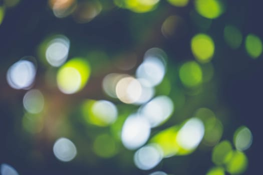 abstract natural blur background, defocused leaves, bokeh, nature background