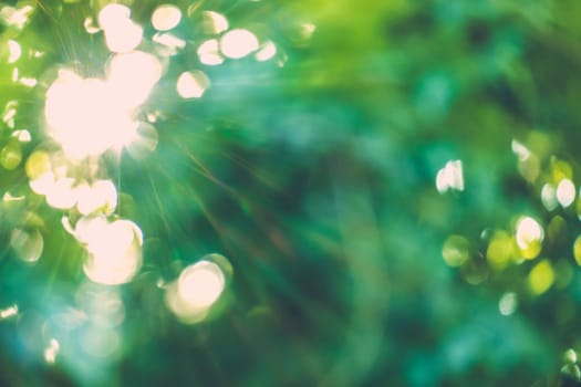 abstract natural blur background, defocused leaves, bokeh, nature background