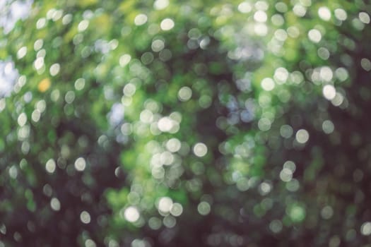 abstract natural blur background, defocused leaves, bokeh, nature background