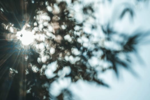 abstract natural blur background, defocused leaves, bokeh, nature background