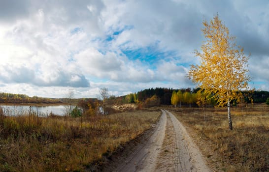 Collection of Beautiful Colorful Autumn Leaves / green, yellow, orange, red