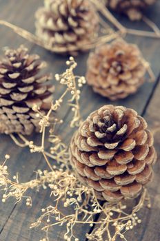 Group of pine cone to decorate on Christmas holiday, brown pinecone with shadow on wood background