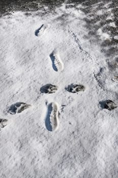 funny human footprints in deep snow in Italy