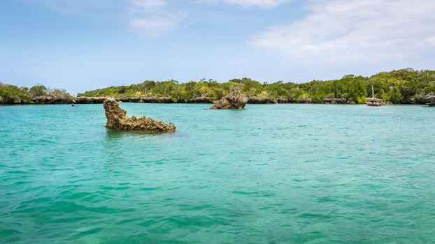 Seascape with background mangrove trees and tourist boat on the tropical coast of Zanzibar island.