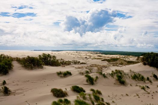 Sand dunes and bushes on Curonian Spit
