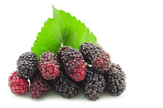 Red and black Mulberry with green leaf isolated on white background