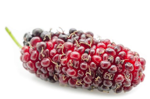 close up red mulberry on white background