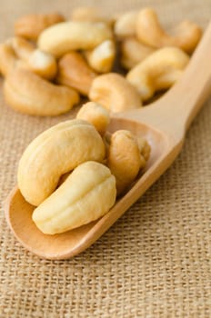 cashew nuts with salt and wooden spoon on sack background.