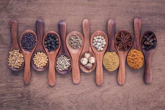 Assorted of spices  in wooden spoon  black pepper ,white pepper, black mustard,yellow mustard,fenugreek,cumin ,curry powder ,paprika and  fennel seeds on teak wood background.