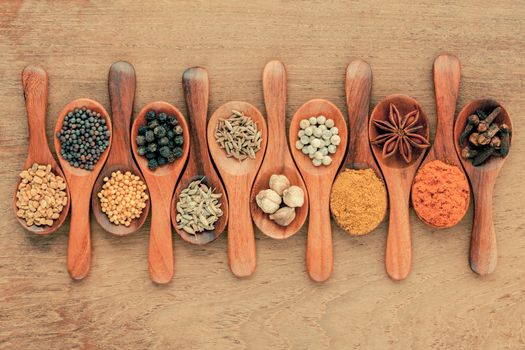 Assorted of spices  in wooden spoon  black pepper ,white pepper, black mustard,yellow mustard,fenugreek,cumin ,curry powder ,paprika and  fennel seeds on teak wood background.