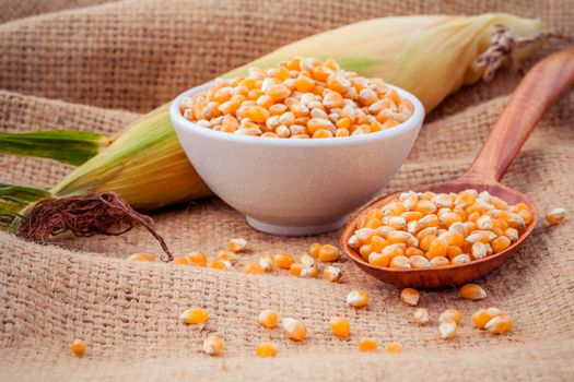 Grains of ripe corn in the bowl and spoon with fresh sweet corn on hemp sacks background .