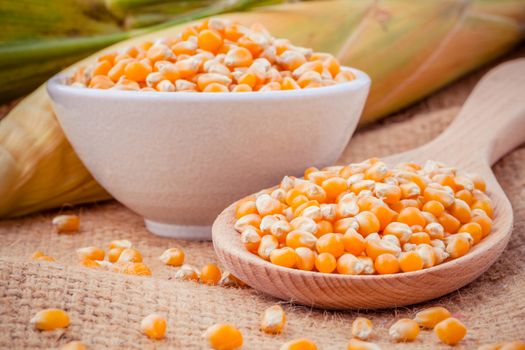 Grains of ripe corn in the bowl and spoon with fresh sweet corn on hemp sacks background .